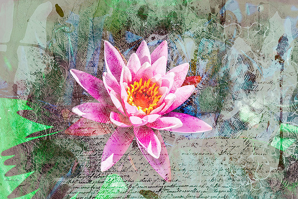Water Lily Collage I