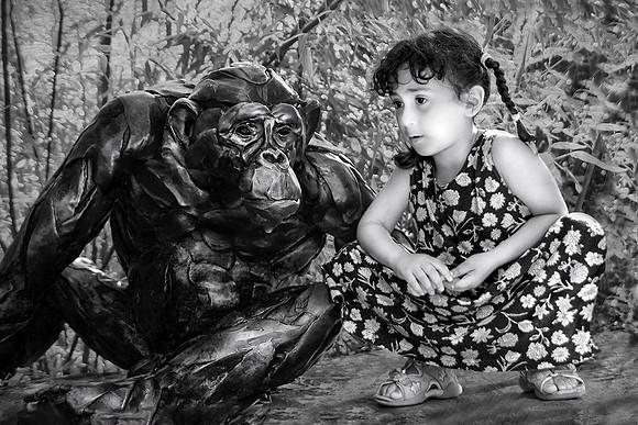 Talking to the Chimpanzee I