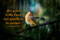 1 Chronicles 16:25