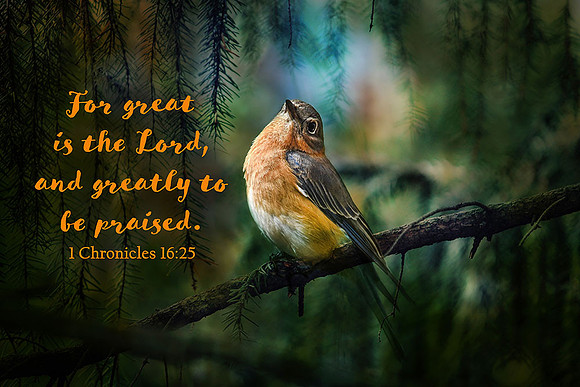 1 Chronicles 16:25