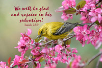 Isaiah 25:9