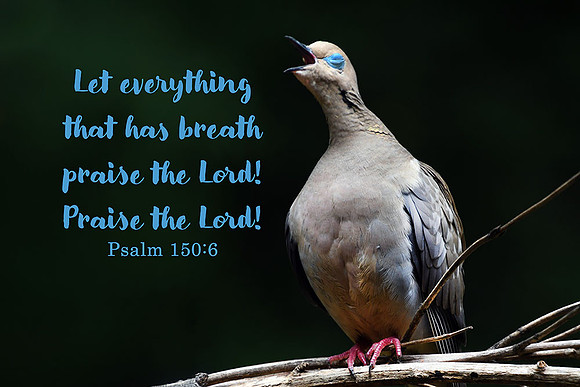 Psalm 150:6