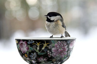 Chickadee on Pottery II
