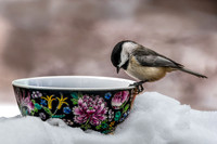 Chickadee on Pottery I