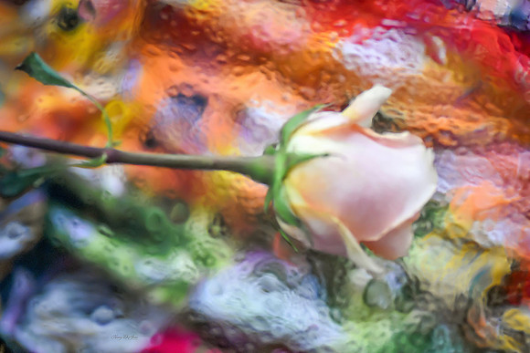 Impressionist Rose I
