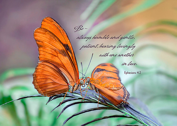 Ephesians 4:2 Be Always Humble and Gentle