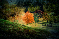 Autumn Landscape VI