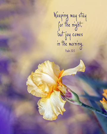 Psalm 30:5 Joy Comes in the Morning