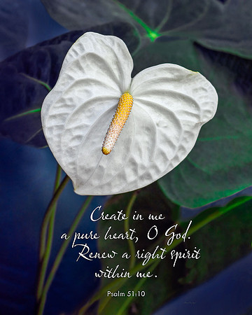 Psalm 51:10 Create in Me a Pure Heart