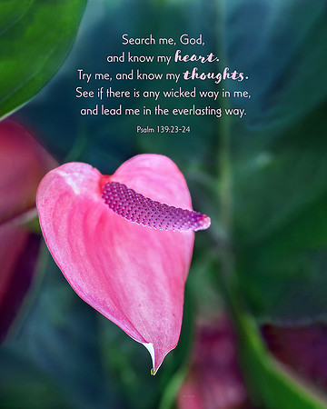 Psalm 139:23-24 Search Me God