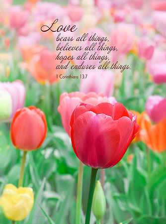 1 Corinthians 13:7 Love Endures All Things