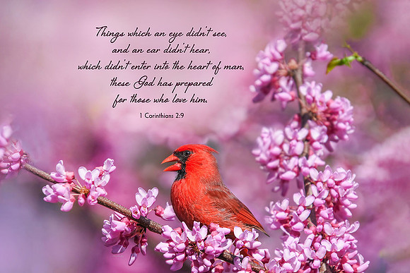 1 Corinthians 2:9 What God Has Prepared