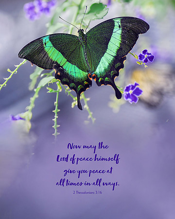 2 Thessalonians 3:16 Peace at All Times