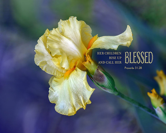 Proverbs 31:28 Children Call Her Blessed