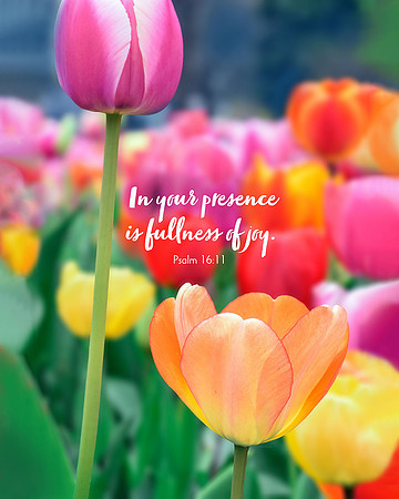 Psalm 16:11 Fullness of Joy