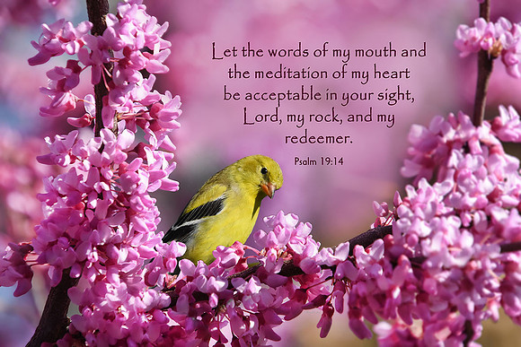 Psalm 19:14 Words and Heart Acceptable