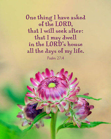 Psalm 27:4 Dwell in the Lord's House