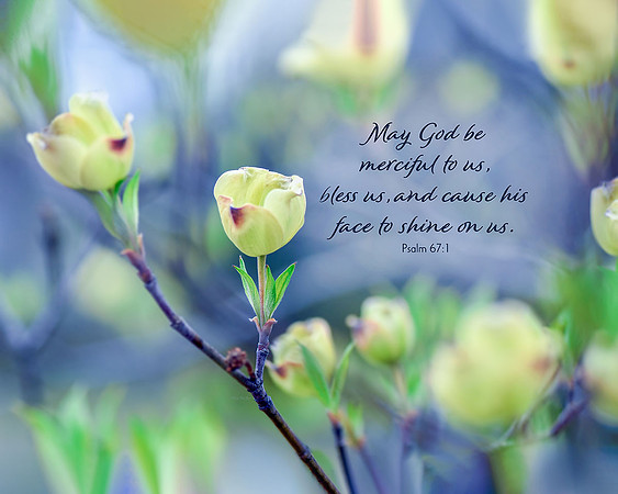 Psalm 67:1 Face Shine Upon Us