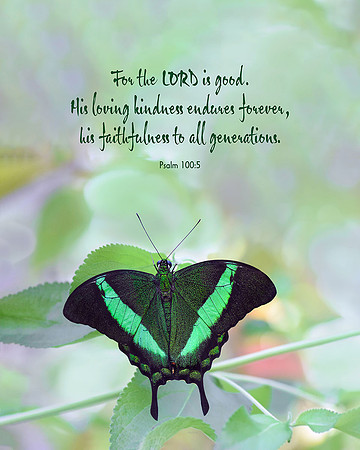 Psalm 100:5 Lord is Good
