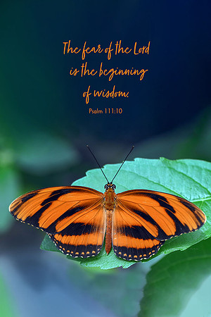 Psalm 111:10 Fear of the Lord