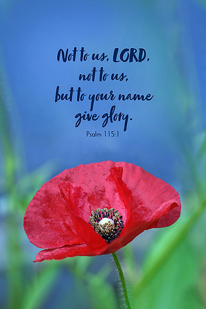 Psalm 115:1 Not To Us