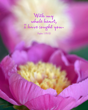 Psalm 119:10 I Sought You