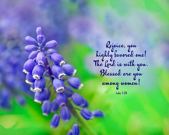 Luke 1:28 Highly Favored One