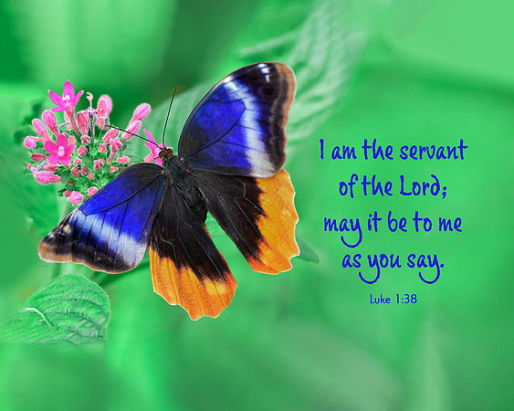 Luke 1:38 Servant of the Lord II