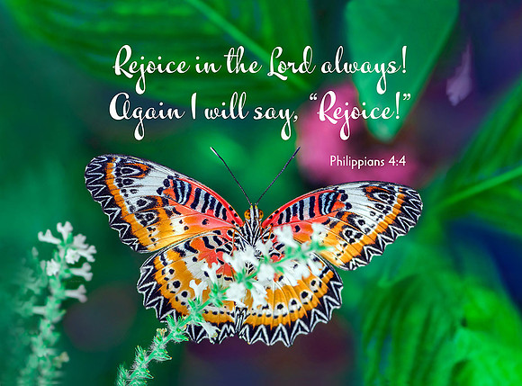 Philippians 4:4 Rejoice in the Lord II