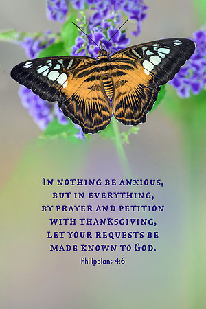 Philippians 4:6 In Nothing Be Anxious II
