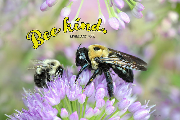 Ephesians 4:32 Bee Kind
