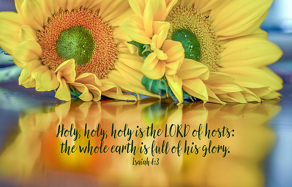 Isaiah 6:3