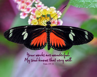 Psalm 139:15